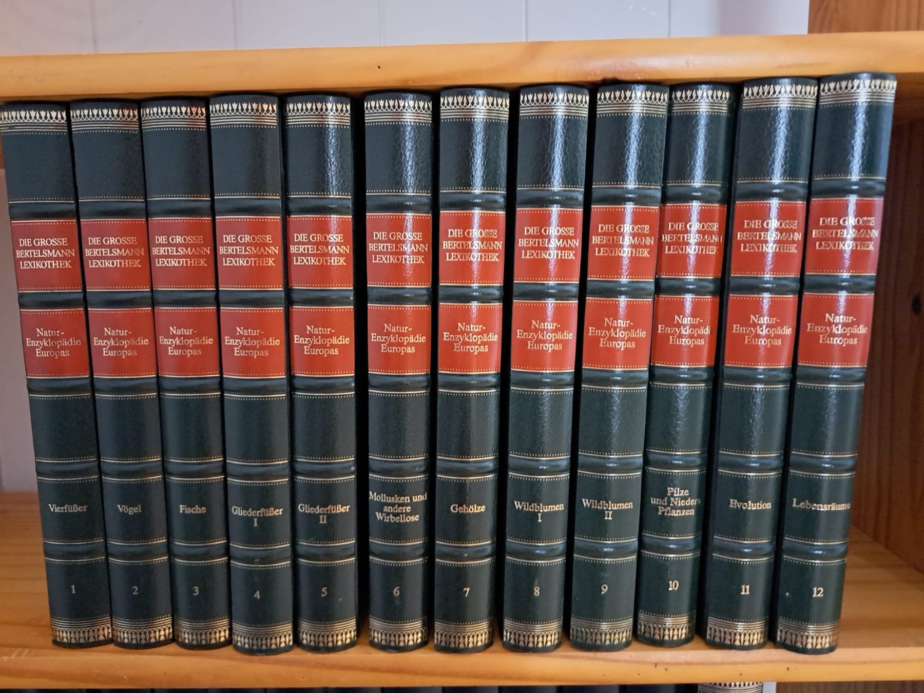 Libri: Grosser Bertelsmann Lexikothek,12 Bände – Usato da Willisau venduto da tan_wy9q