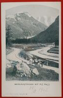 Berninastrasse 1903 - Kuhgespann,  TOP