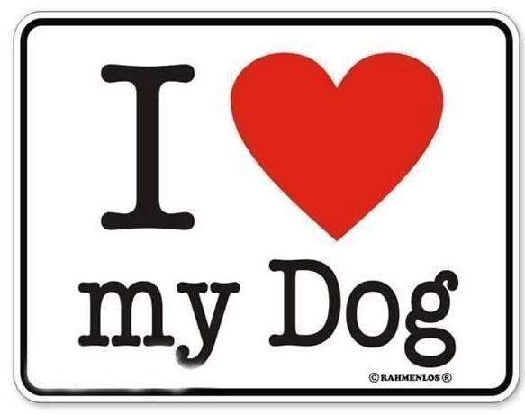 Schilder: HUNDE BLECHSCHILD I LOVE MY DOG – Neu (gemäss Beschreibung) aus Ennetbürgen von open24shop