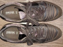 Geox Sneaker gr 38