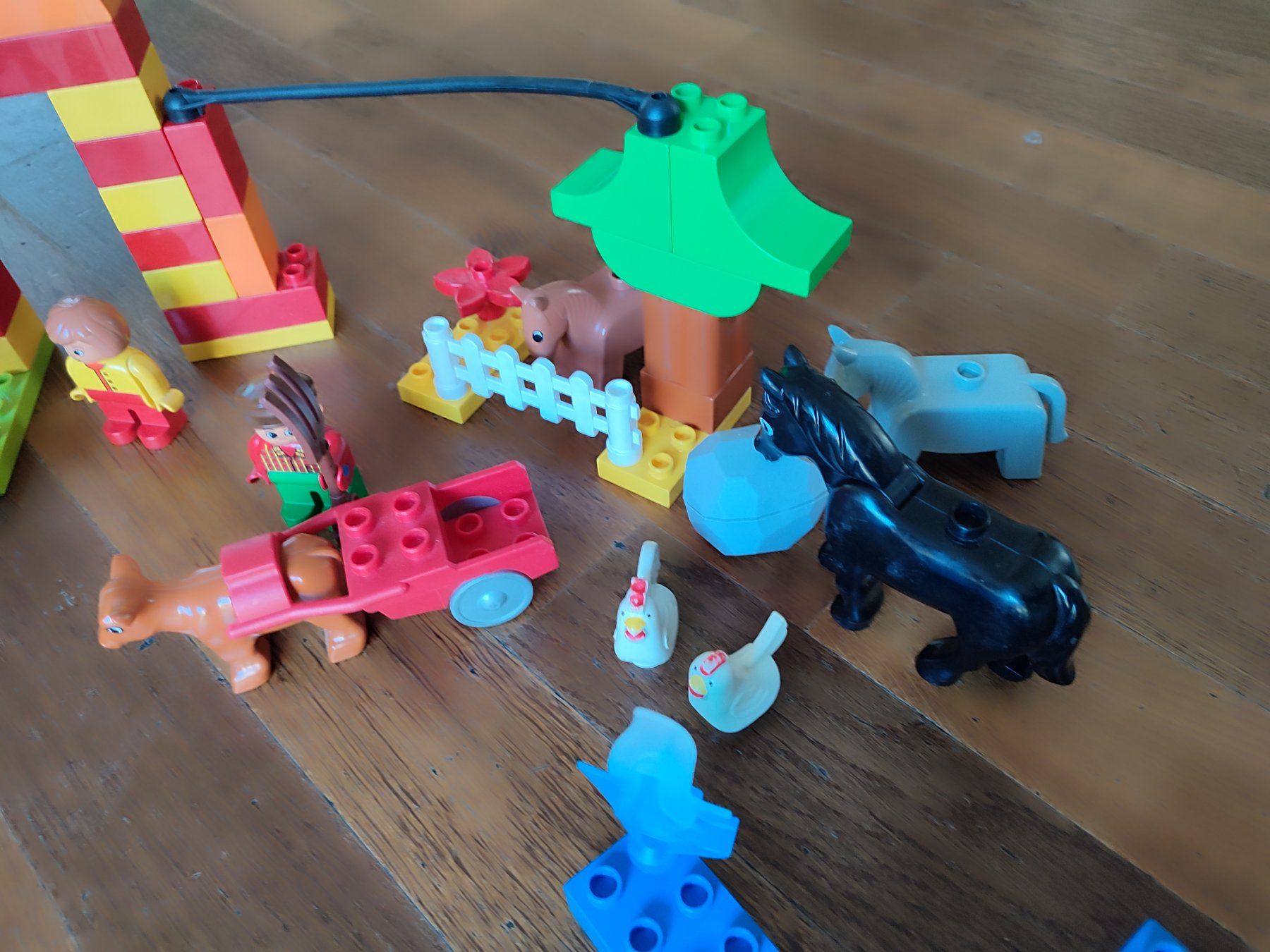 Lego Kit di costruzioni: LEGO DUPLO grosse Zoo Set – Usato da Lugano venduto da Pocketpixel 3