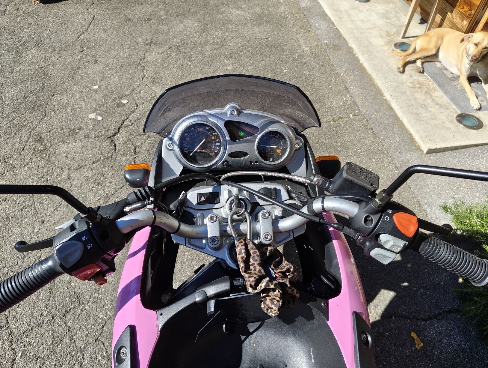 BMW Touring: pink lighting frisch ab mfk  – Usato da Hagenwil venduto da joy_rcb5 5
