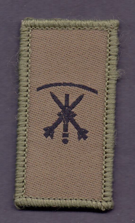 Schweizer Armee Placchette & Badge: Fliegerabwehrtruppen Klett – Nuovo e nell'imballaggio originale da Koblenz venduto da Himmelsreiter