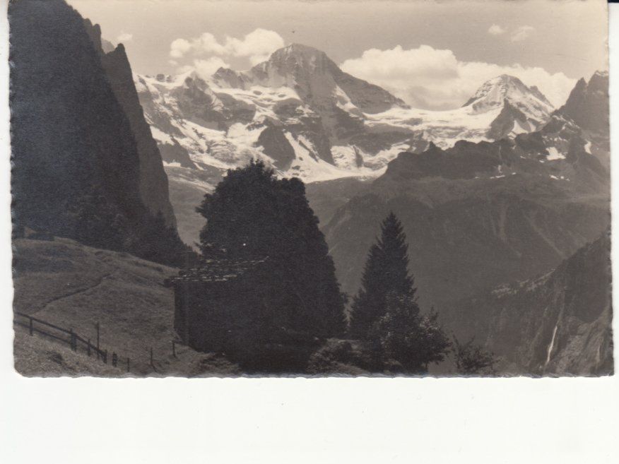 Cartoline postali: Wengen Staubbachbänkli ca. 1930 – Usato da Bürglen TG venduto da StampGraf