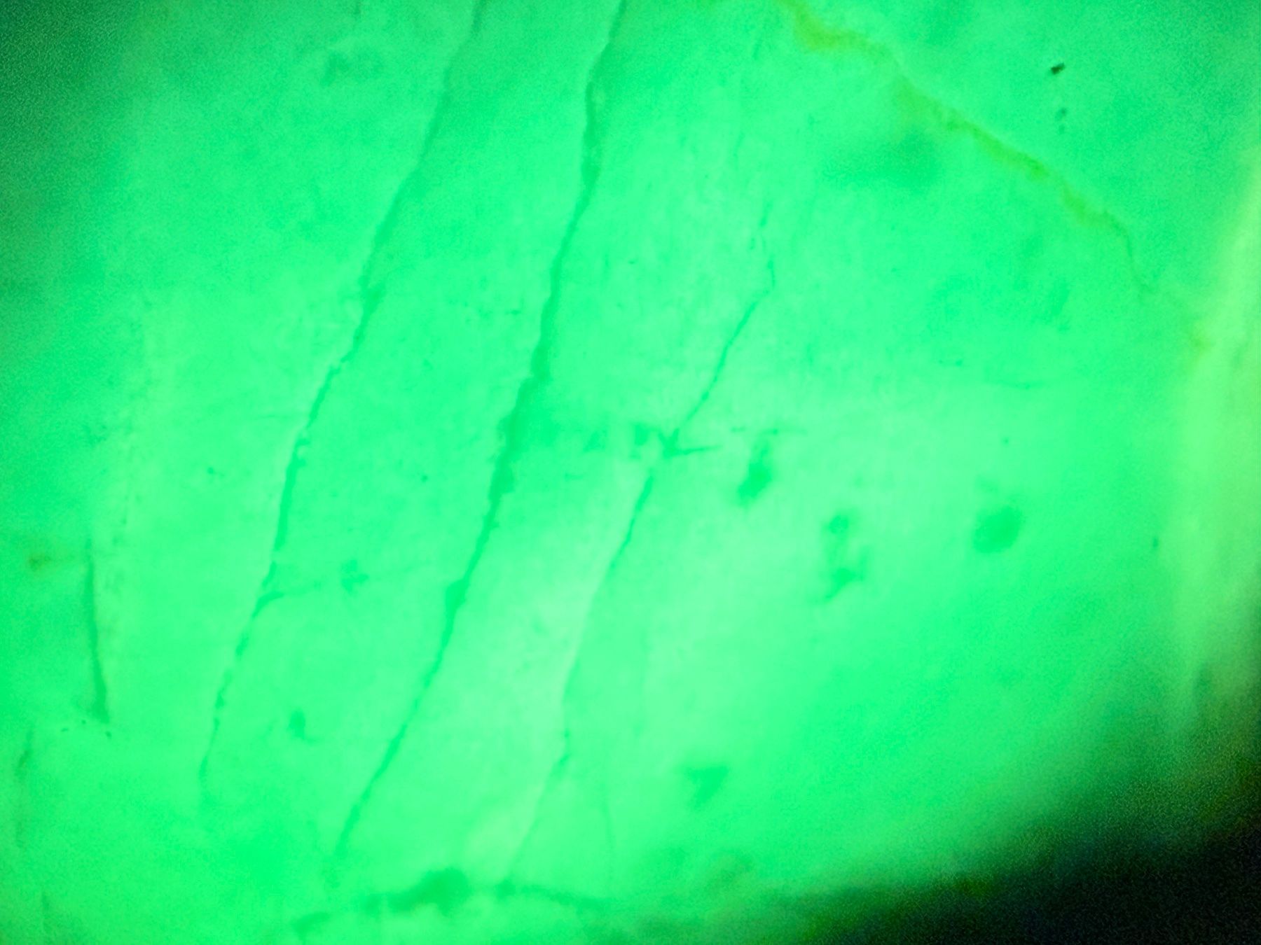 Mineralien & Heilsteine: Jadeite Natural  seltener – Neu (gemäss Beschreibung) aus Oberhof von RealStone 1