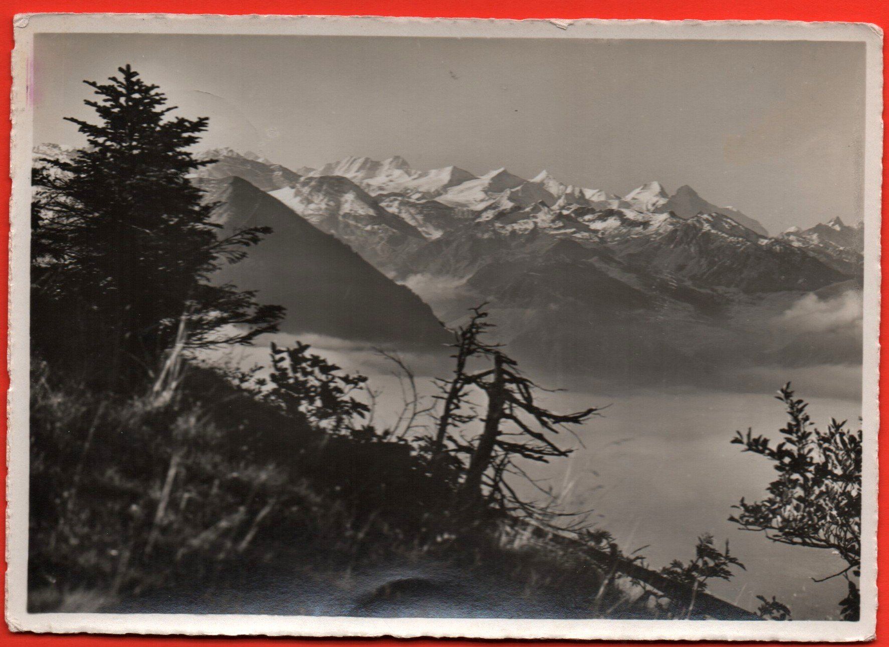 Cartoline postali: RIGI Blick auf die Berneralpen – Usato da Jona venduto da philajona