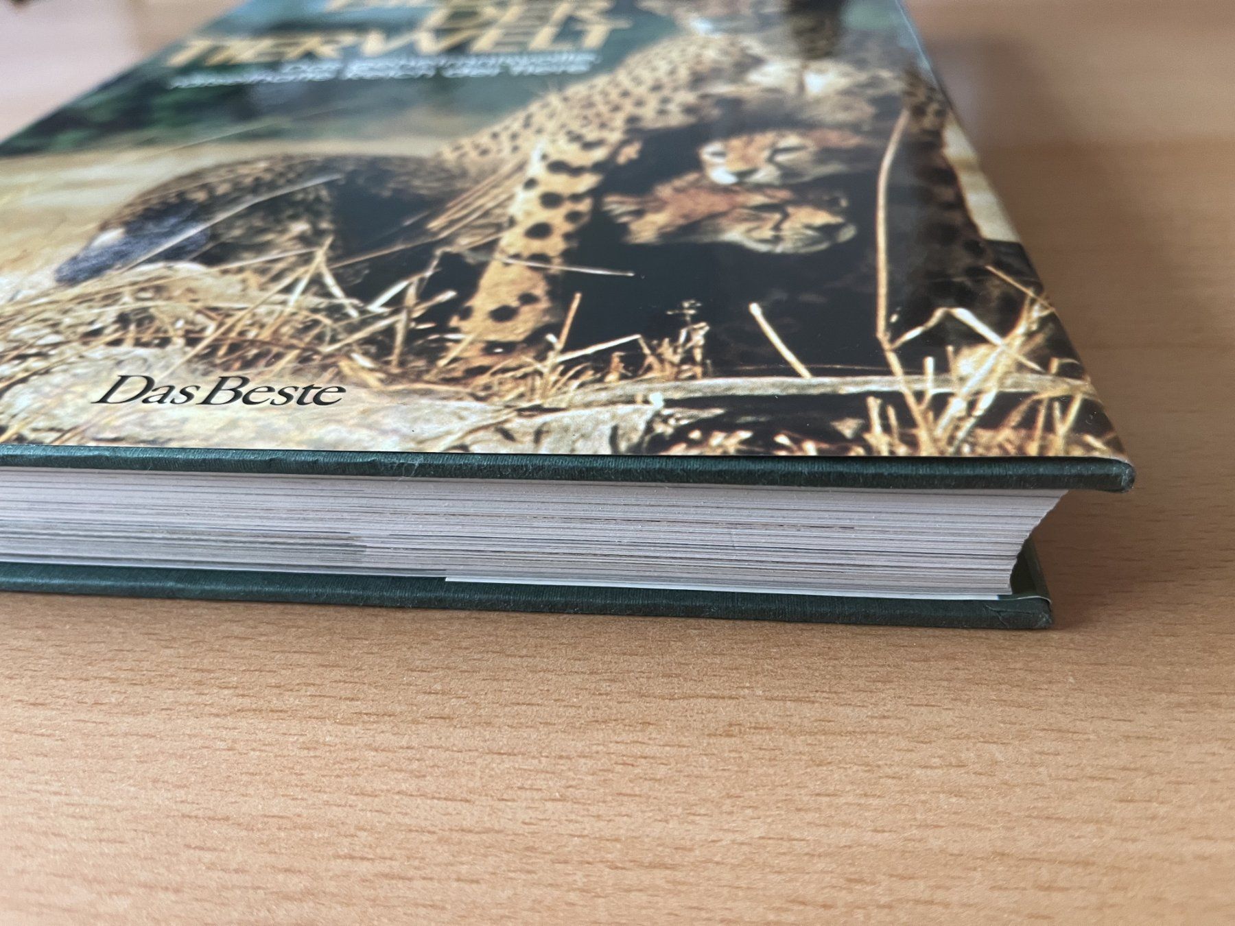 Libri: Bildatlas der Tierwelt – Usato da Lausen venduto da Mondeo10628 1