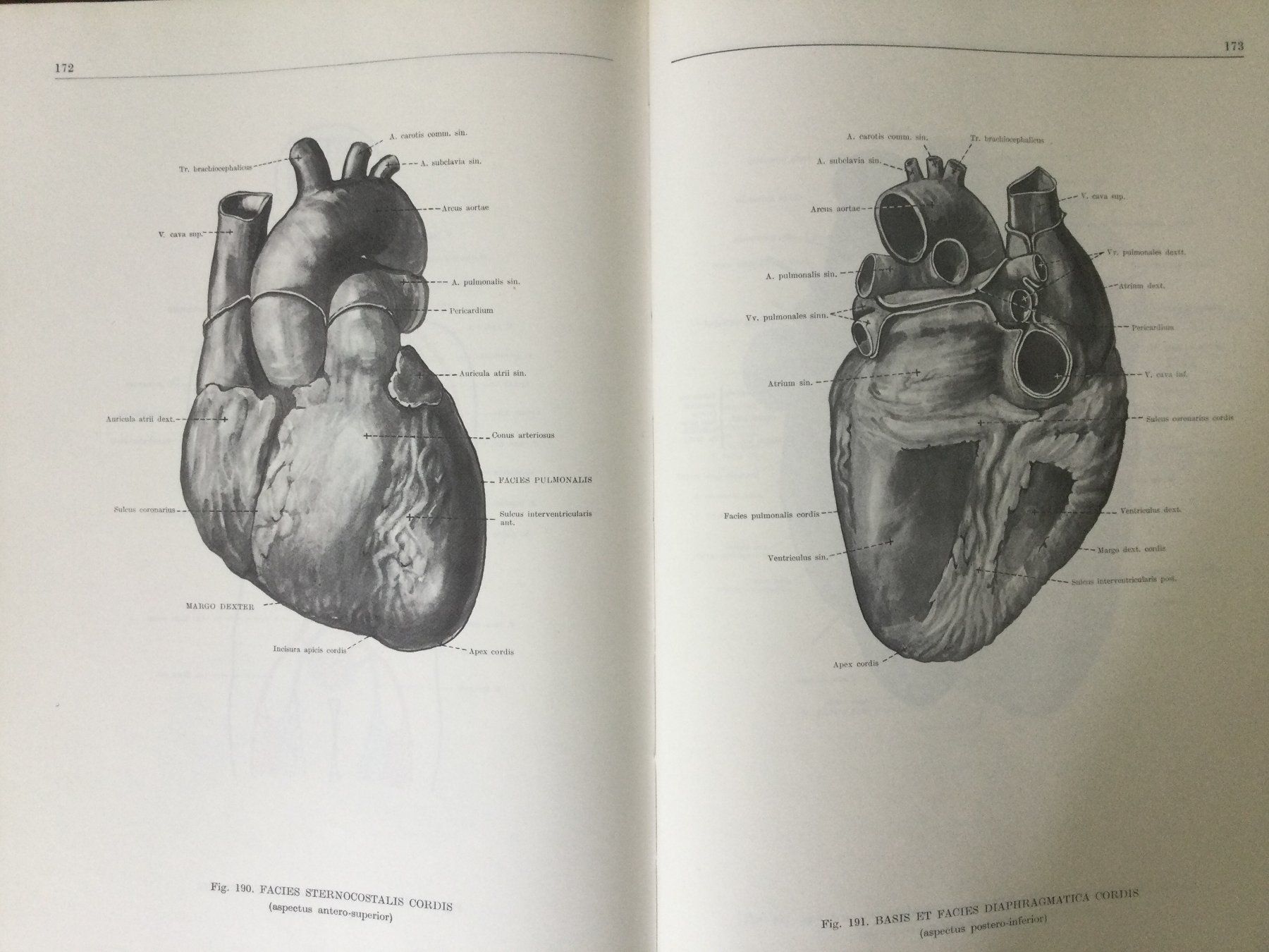 Bücher: Anatomischer Atlas des Menschen, 3 Bände – Gebraucht aus St. Gallen von Lila_238 2
