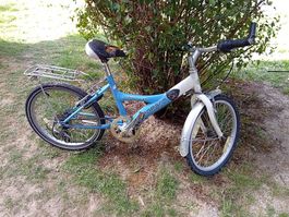Velo 20'