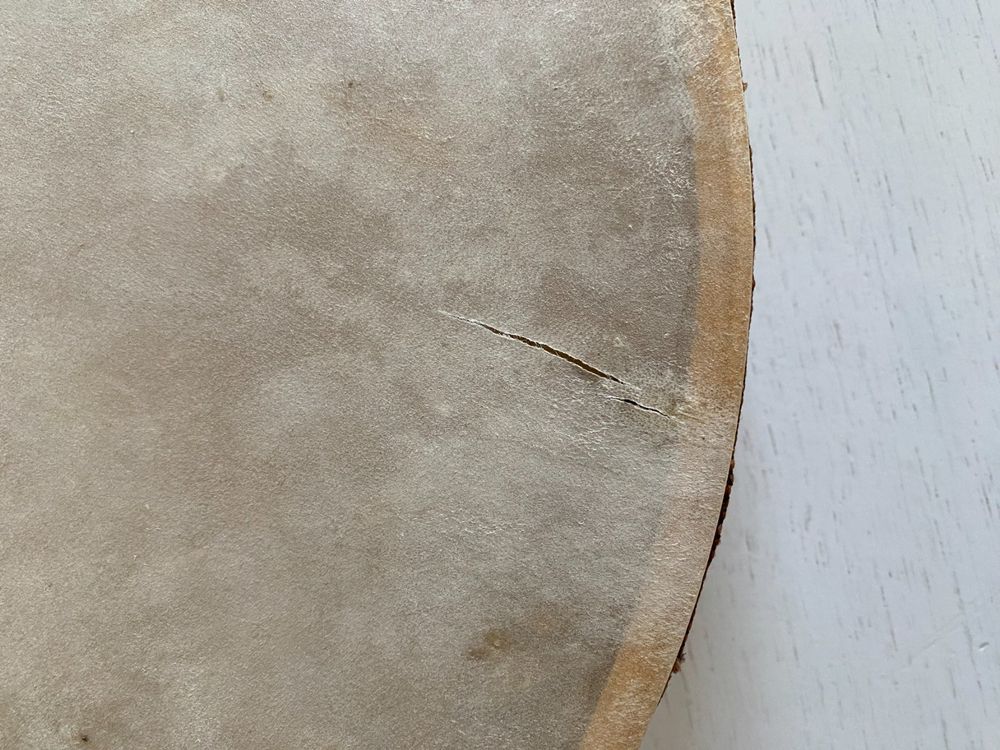 Ocean Drum Kaufen auf Ricardo