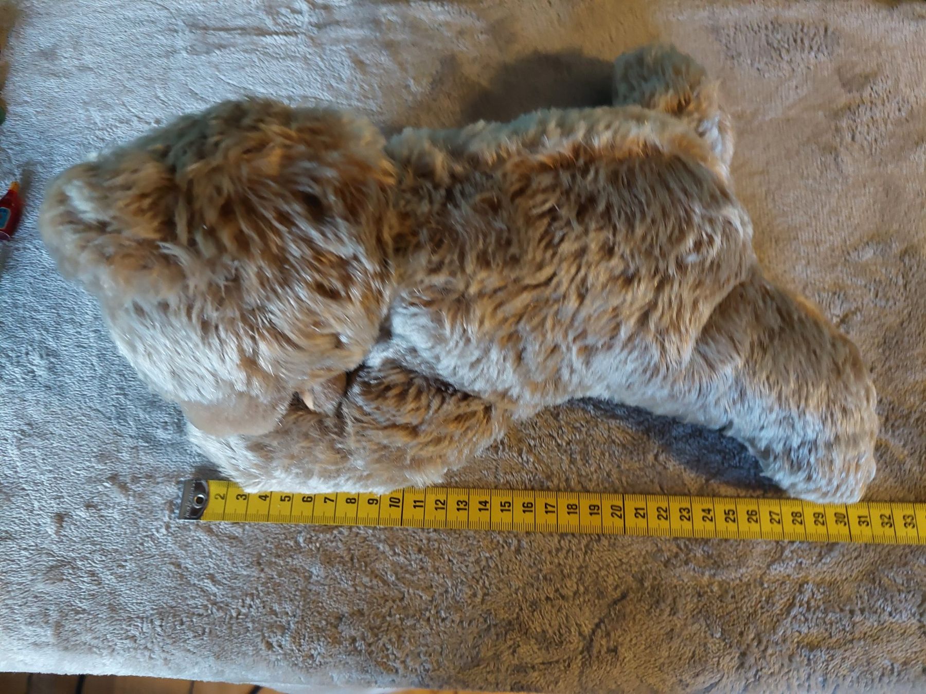 Steiff Giocattoli: Älterer schlafender Steiff Teddybär – Usato da Otelfingen venduto da silver-moon 2