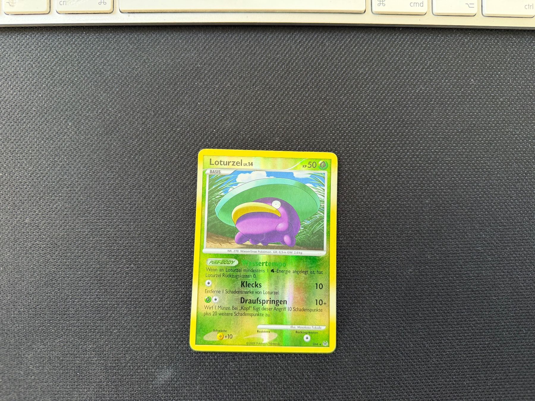 Pokémon Carte collezionabili: Loturzel SH4 – Usato da Zürich venduto da mountainwizard00