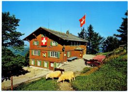 STEG ZH Berggasthaus Hörnli mit Schafen
