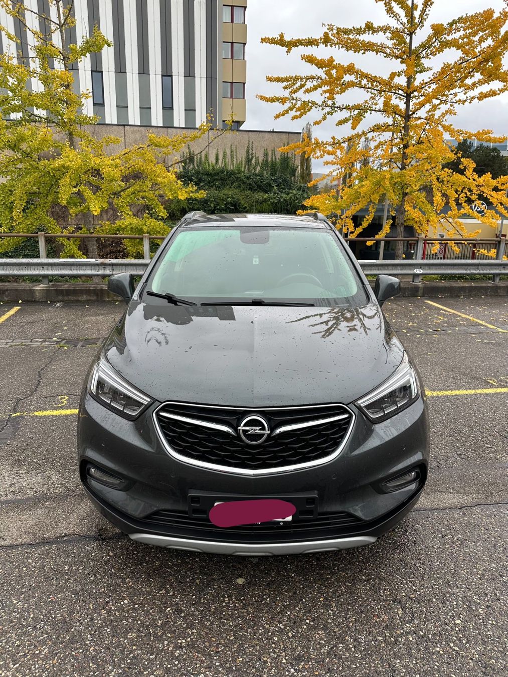 Opel Automobili: Opel Mokka X 4x4 (2017) – Usato da Basel venduto da dus_xc7c