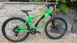 E-Bike Mountainbike im guten Zustand