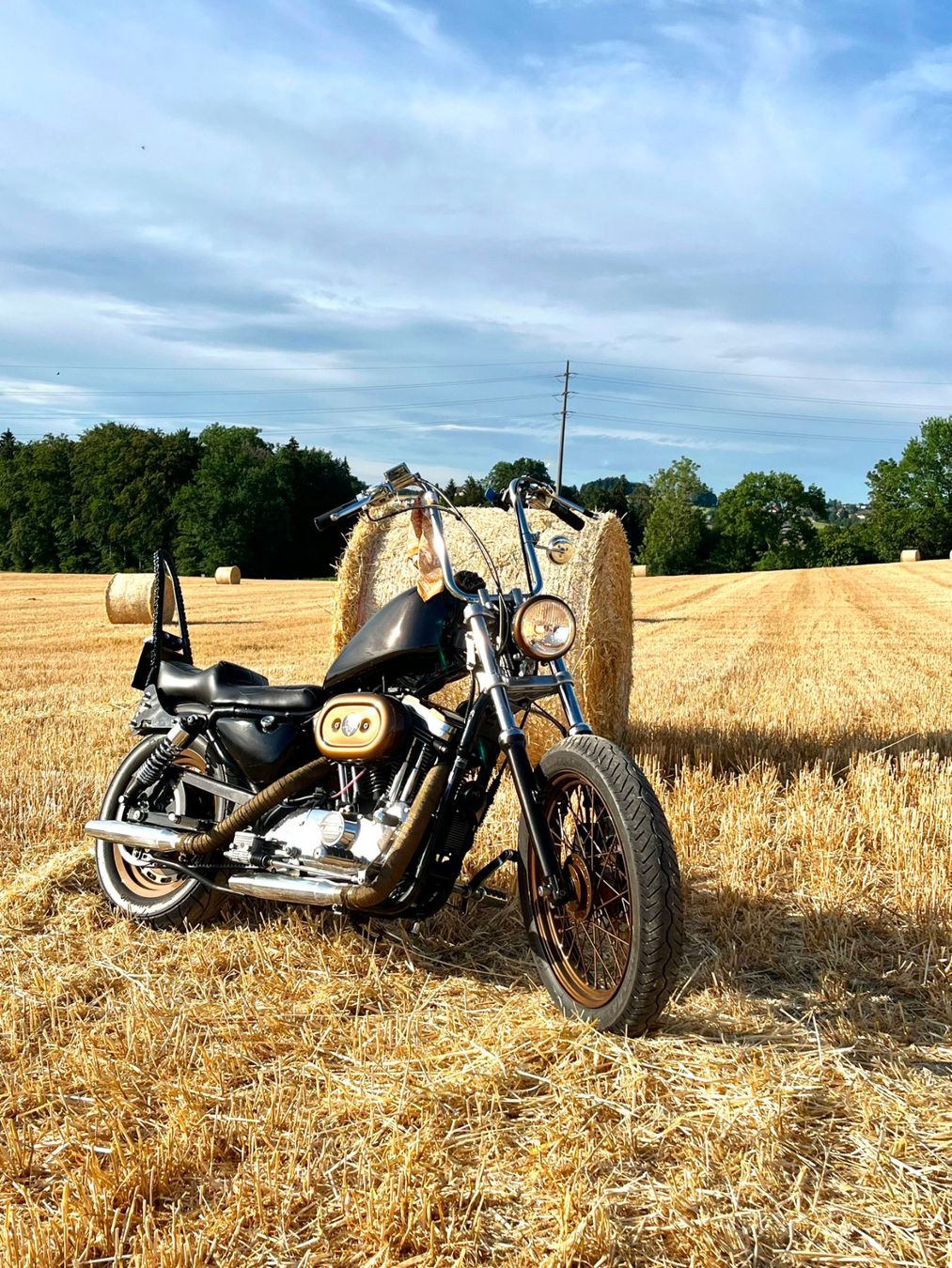 Harley-Davidson Chopper: HARLEY DAVIDSON XL 1200 C – Gebraucht aus fribourg von vak_kr6q 1