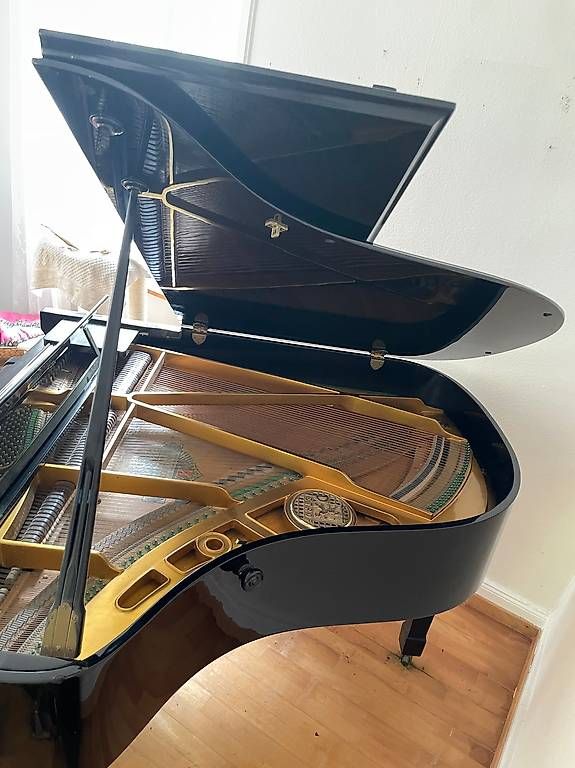 Strumenti musicali: Schwarzer Flügel Petrof – Usato da Münchenstein venduto da Aubacca 3