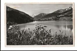 AK 1951 Sommertag am Davosersee 🏞️ Davos