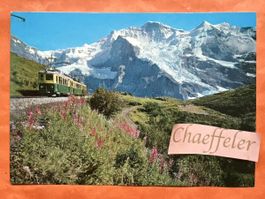 Wengernalp - kleine Scheidegg. Wengernalpbahn,  Jungfrau Bah