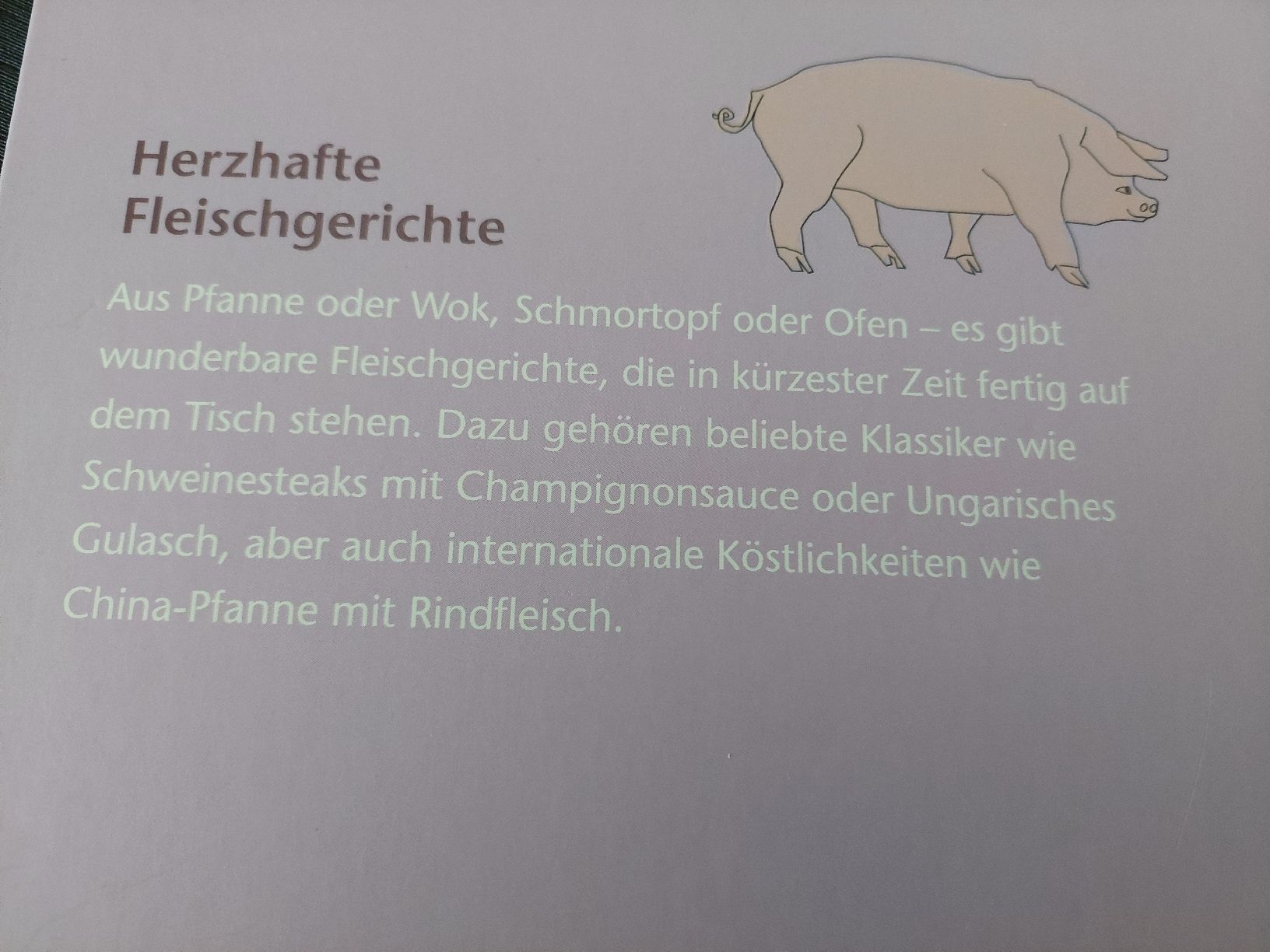Libri: 2 Kochbücher für Fleischgerichte – Usato da Zetzwil venduto da lanst08 1