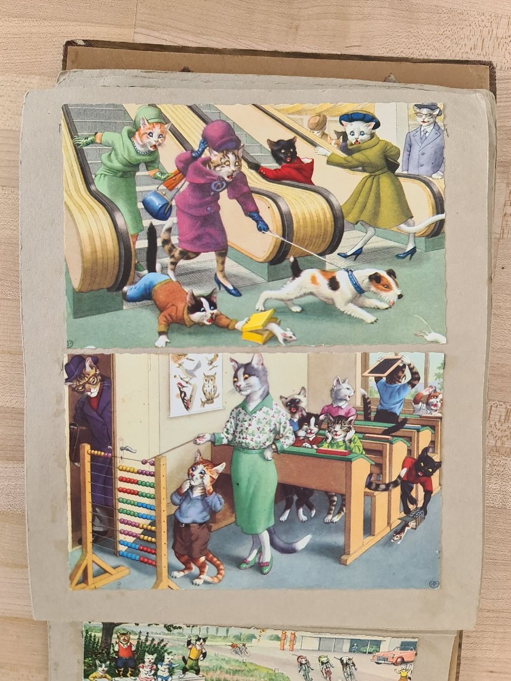 Album: Antikes Kartenalbum "Katzen" – Usato da Uster venduto da Cruleye 7