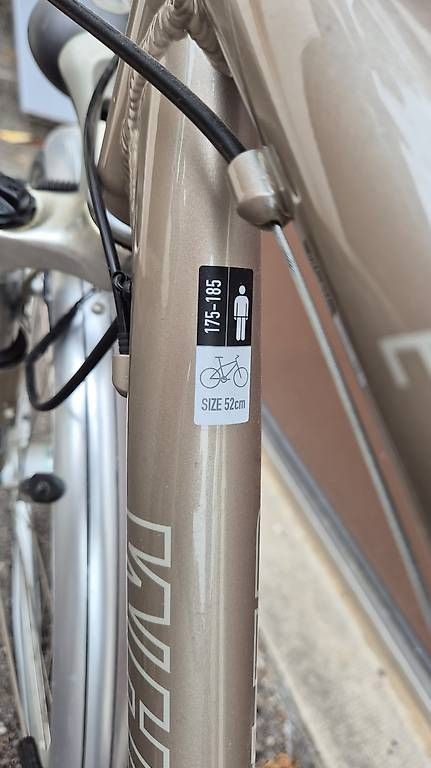 Biciclette: Vélo homme WHEELER 52cm – Usato da bernex venduto da fabriceznn 1