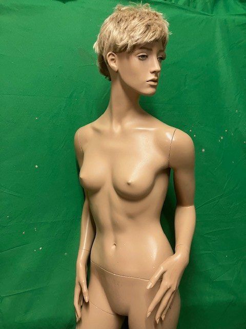 Altro in Decorazioni & Accessori: Schaufensterpuppe Dame " Hindsgaul" – Usato da Ehrendingen venduto da Silberpudel 1