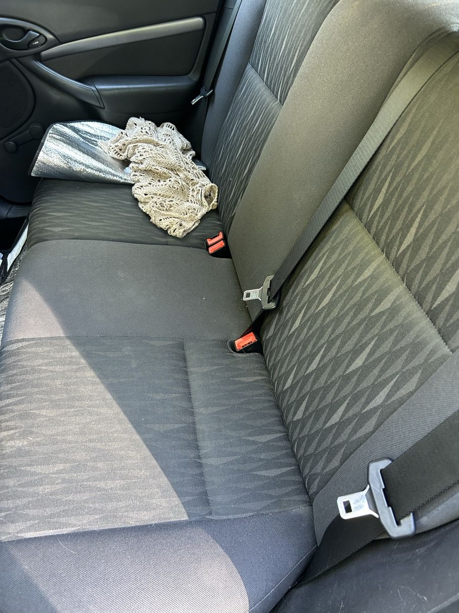Ford Automobili: Ford Focus 1.8 16V – Usato da Waltenschwil venduto da alfarumore 5