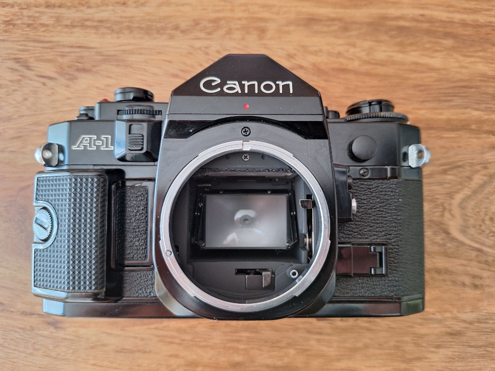 Canon Kamera: Canon A1 – Gebraucht aus Zürich von geo_m6mh