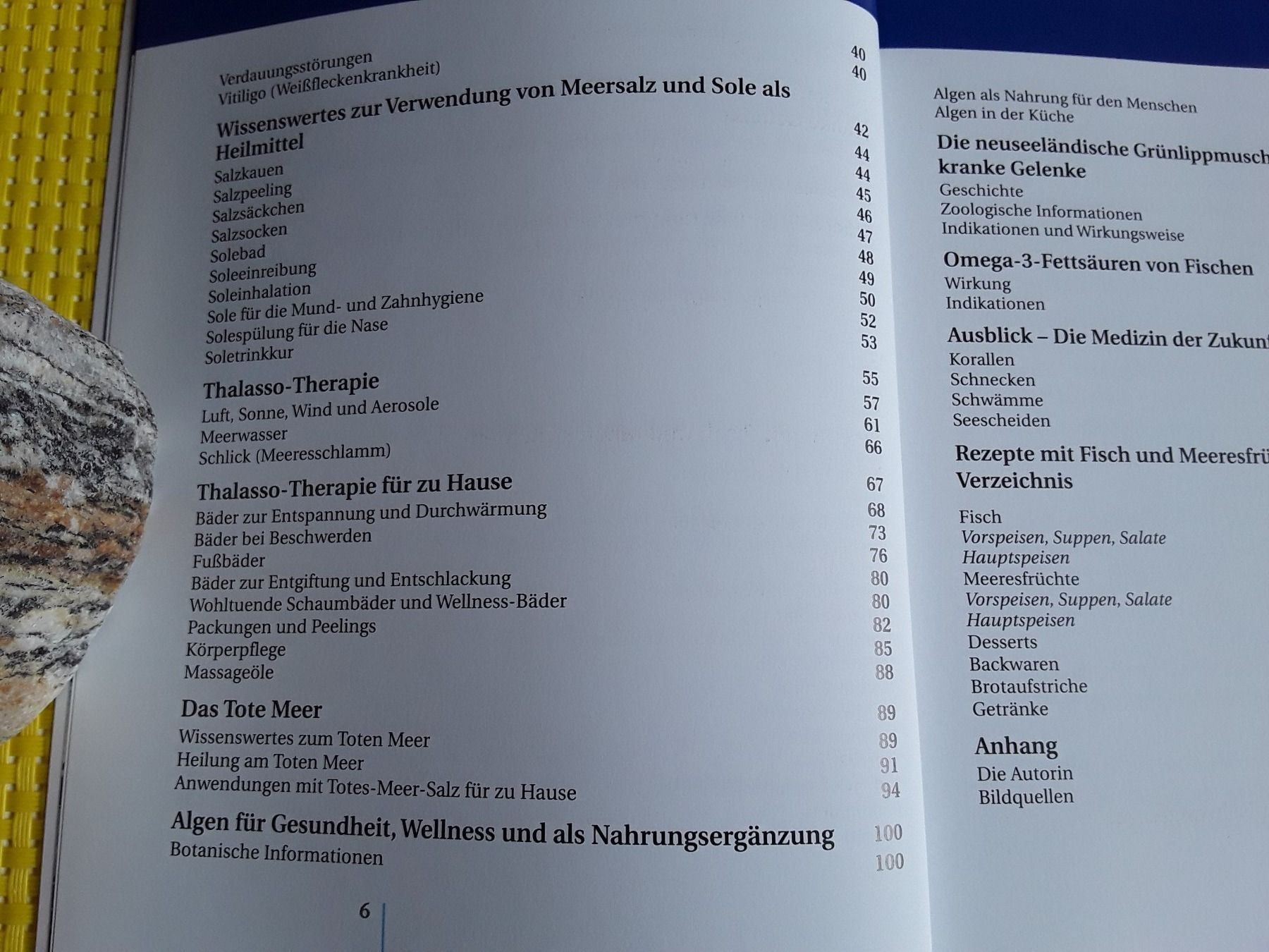 Libri: Heilen mit der Kraft des Meeres – Nuovo (secondo la descrizione) da Rebstein venduto da Buchsi03 3