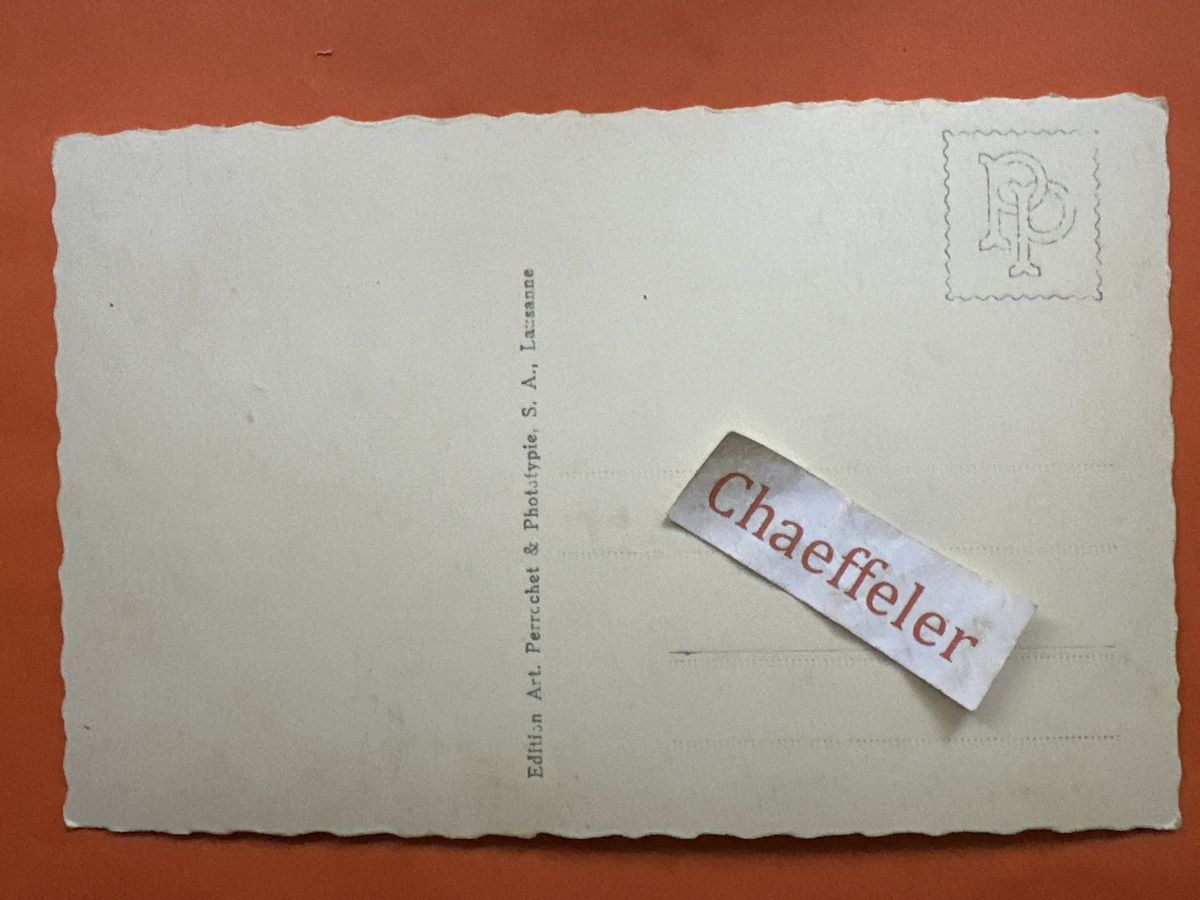 Cartoline postali: Alle de Cotter es Dents de Veisivi. – Usato da Zürich venduto da Chaeffeler 1