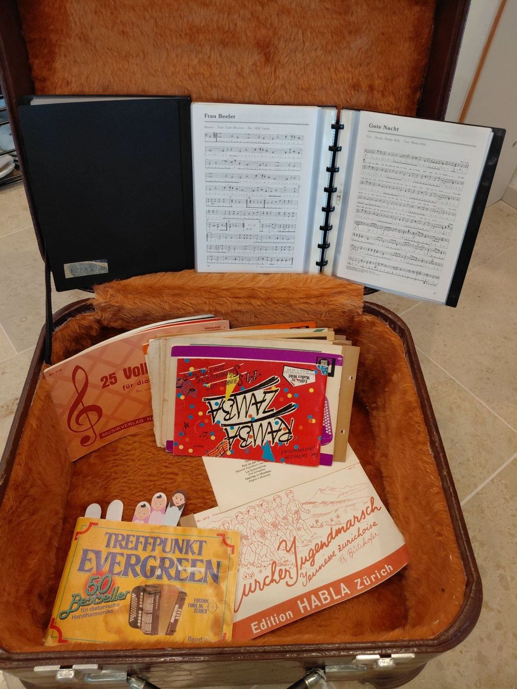 Instruments de musique: RECORD. Diatonisches Accordeon, Handorgel – D'occasion à Zürich par Breze 3