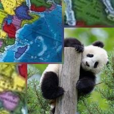 Profile image of Pandaglo