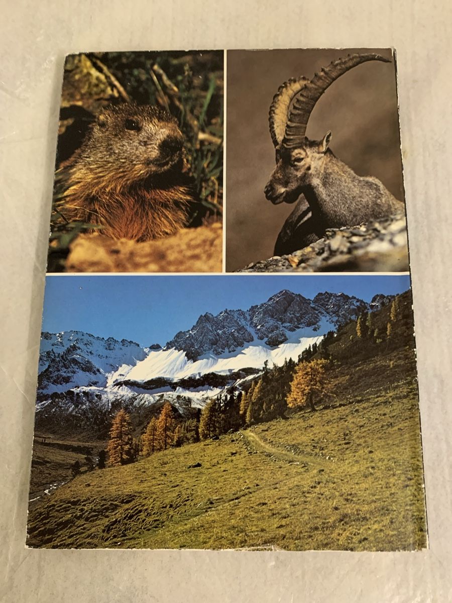 Libri: "Der Schweizerische Nationalpark" - SILVA VERLAG – Nuovo (secondo la descrizione) da Erlenbach ZH venduto da Ritschly 2