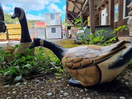 2 lustige, dekorative Enten aus pappmache