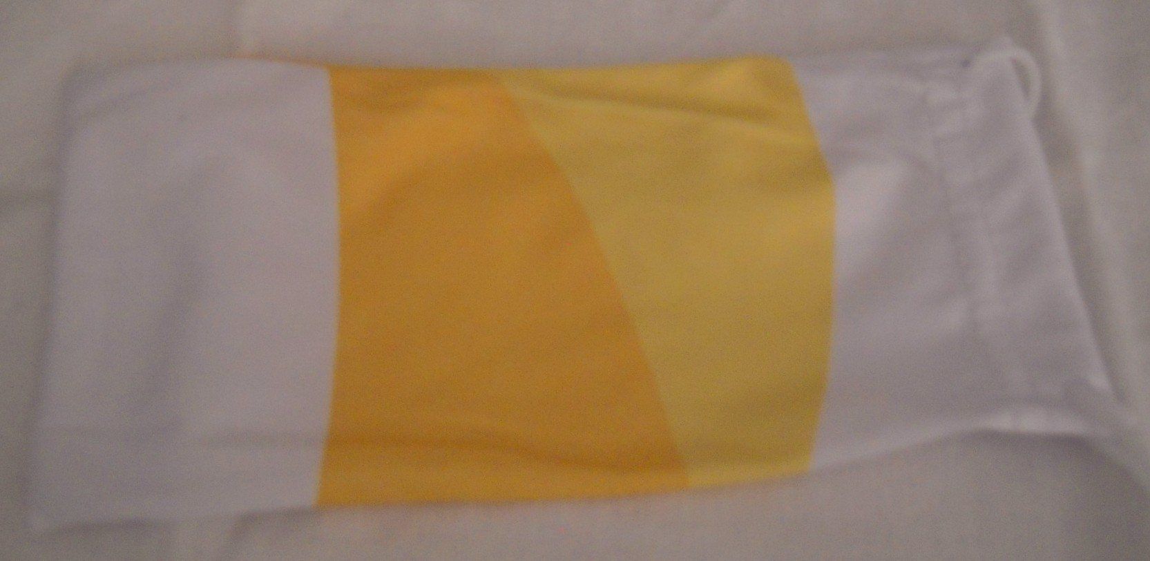 Altro in  Abbigliamento & Accessori: Brillen Etui – Usato da Heimberg venduto da Rockenrol