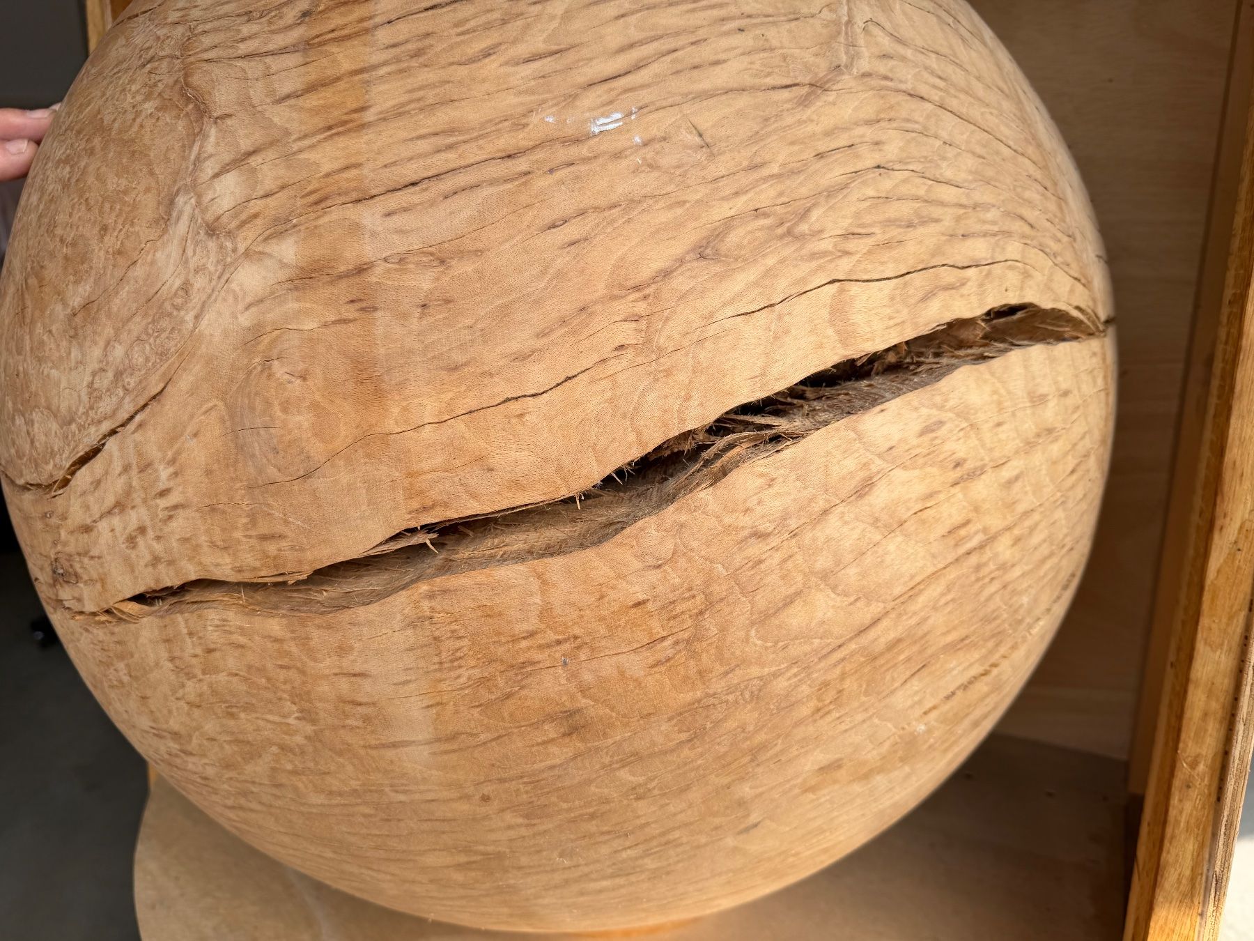 Articoli in legno: Holzkugel Buche; 65 cm; roh, – Nuovo (secondo la descrizione) da Wildberg venduto da Melramos04 3