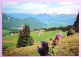 Gasthaus Gsässweid, Rest. Springenboden im Diemtigtal