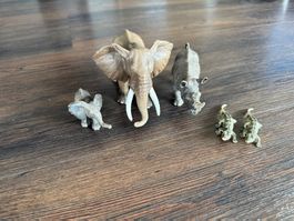 Schleichtiere Afrika