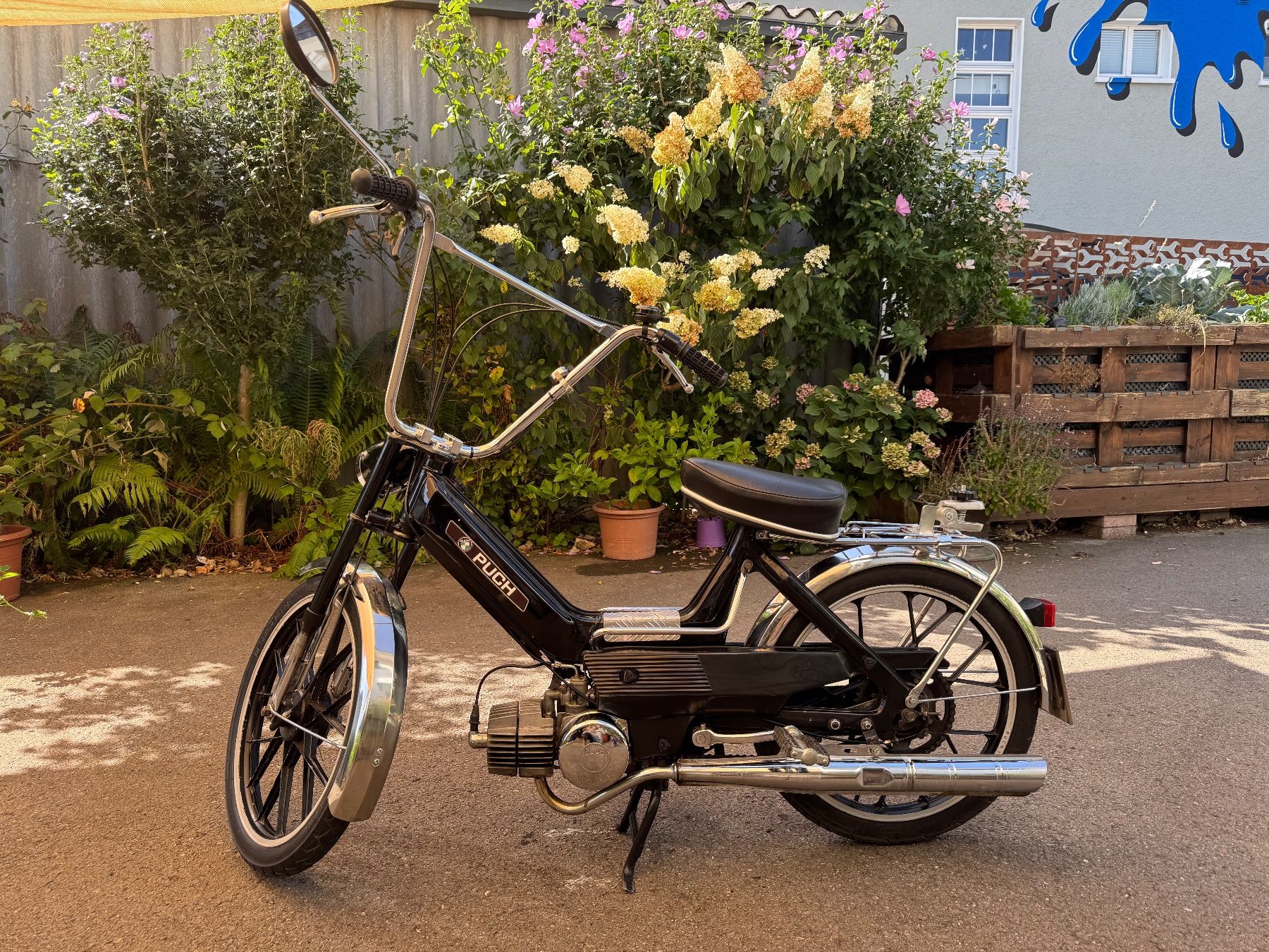 Puch Mofas: Maxi Puch N – Gebraucht aus Widnau von tgossi