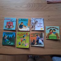 Pixi Bücher alte Version diverse Titel gebraucht>