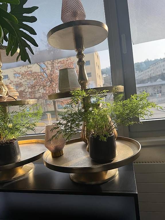 Tutte le decorazioni: Etagere – Usato da Wittenbach venduto da janine37