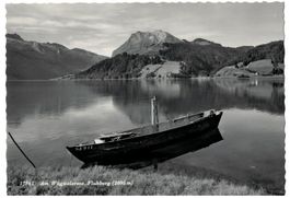 Am Wägitalersee, Boot, Fluhberg