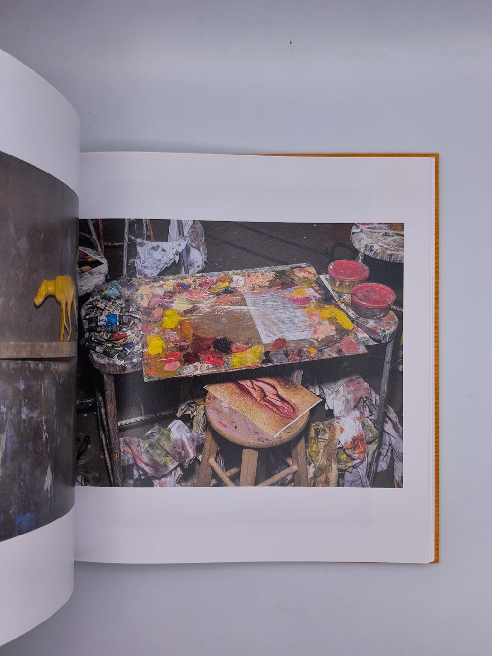 Libri: PHOTOBOOKS - ALEX SOTH - WIDMUNG – Usato da Goldach venduto da Gaip 5