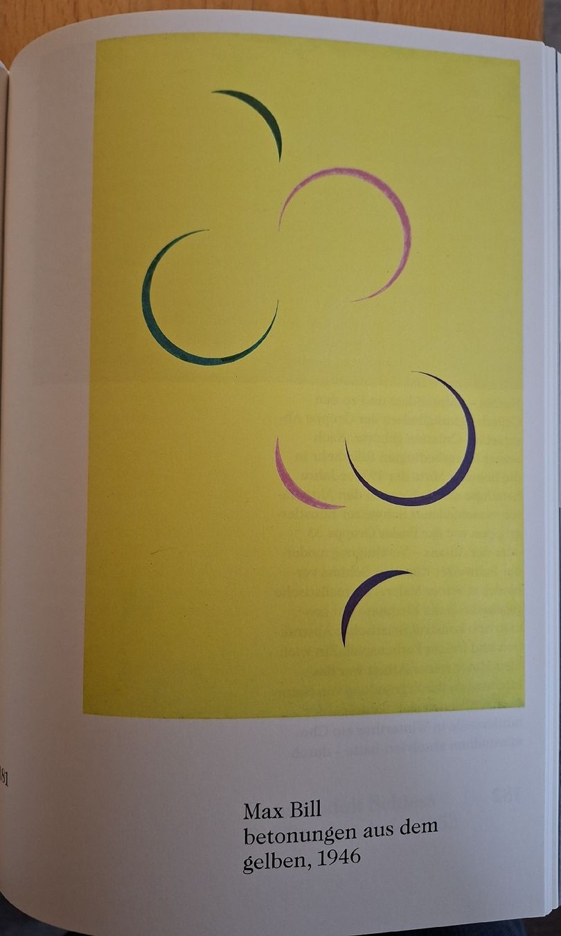 Libri: Die Sammlung der Emanuel Hoffmann-Stiftung, Kunstbuch – Nuovo (secondo la descrizione) da Niederglatt ZH venduto da Siegfried67 4
