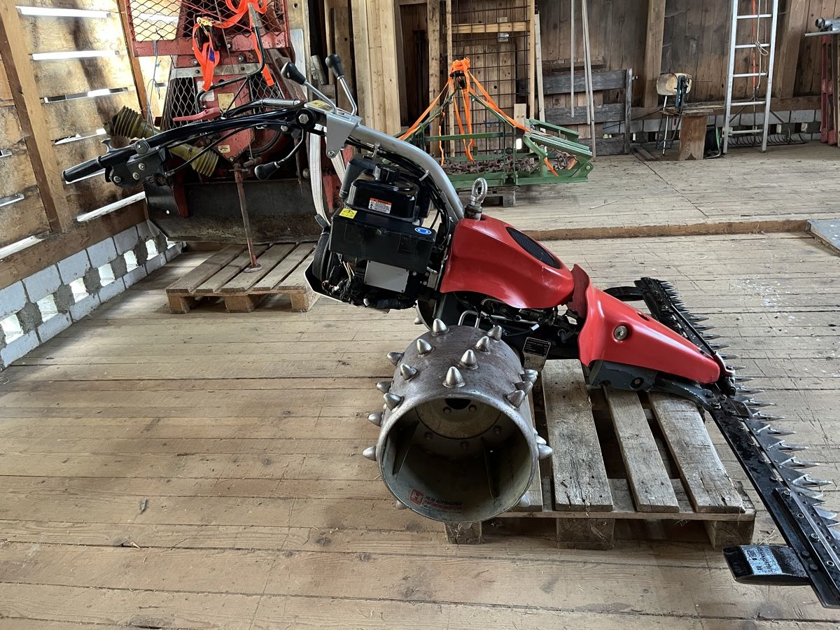 Tutte le macchine: Motormäher Aebi CC110 – Usato da Frutigen venduto da paz63 1