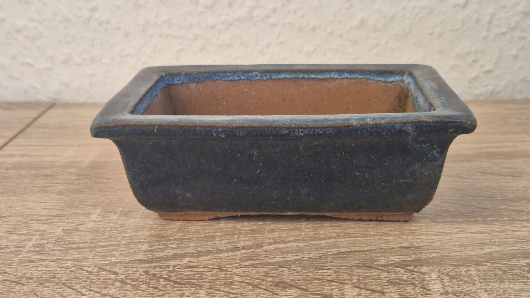 Vasi & Recipienti: bonsaischale/vasi bonsai/ pots – Nuovo (secondo la descrizione) da Veyrier venduto da per_c6sz 3