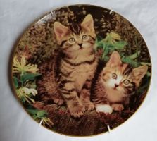 Sammelteller Schnurrende Katzenlieblinge Extec Edition