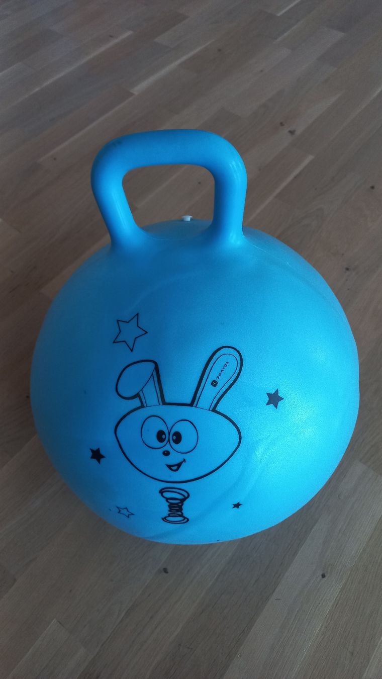 Decathlon Palloni: Kinder Hüpfball – Usato da Flawil venduto da LindiAuktion