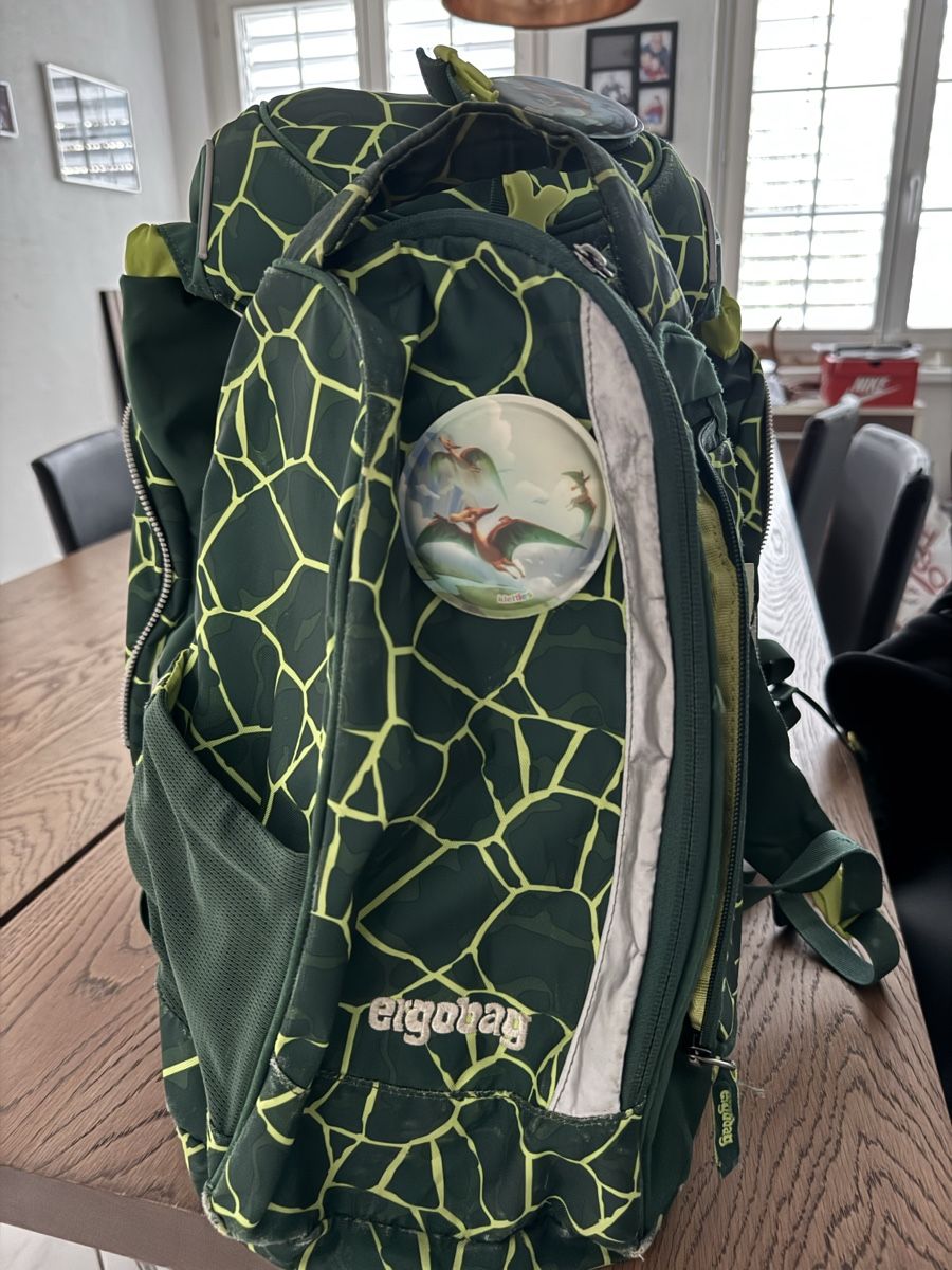 Ergobag Borse & Zaini: Ergobag Schulthek – Usato da Wallenwil venduto da Mutternehmerin 3